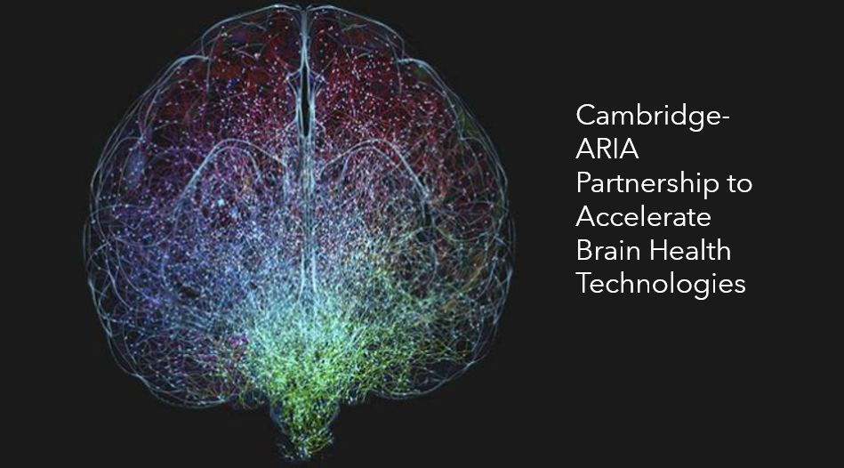 blue AI brain