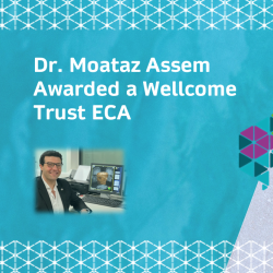 Moataz Assem