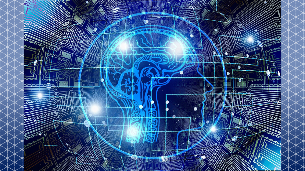 brain circuits